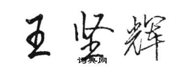 骆恒光王坚辉行书个性签名怎么写