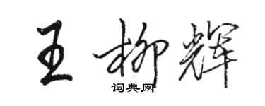 骆恒光王柳辉行书个性签名怎么写