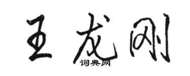 骆恒光王龙刚行书个性签名怎么写