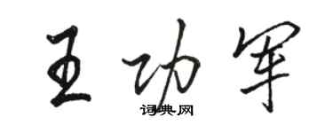 骆恒光王功军行书个性签名怎么写