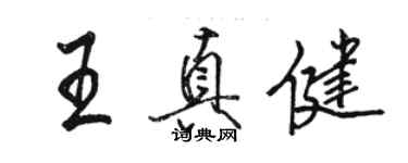 骆恒光王真健行书个性签名怎么写