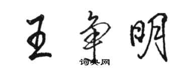 骆恒光王争明行书个性签名怎么写