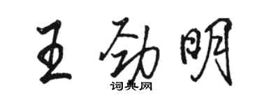 骆恒光王劲明行书个性签名怎么写