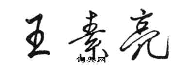 骆恒光王素亮行书个性签名怎么写