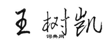 骆恒光王树凯行书个性签名怎么写