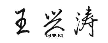 骆恒光王兴涛行书个性签名怎么写