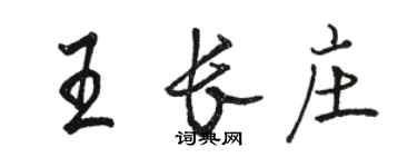 骆恒光王长庄行书个性签名怎么写