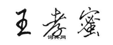 骆恒光王孝蜜行书个性签名怎么写