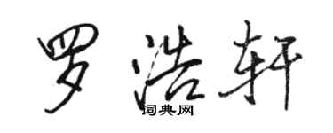 骆恒光罗浩轩行书个性签名怎么写