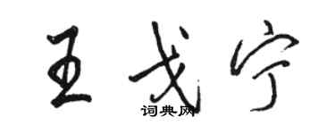 骆恒光王戈宁行书个性签名怎么写