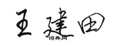 骆恒光王建田行书个性签名怎么写