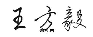骆恒光王方毅行书个性签名怎么写