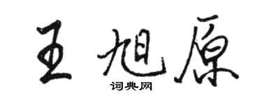 骆恒光王旭原行书个性签名怎么写