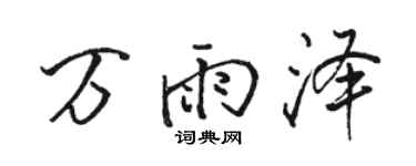 骆恒光万雨泽行书个性签名怎么写