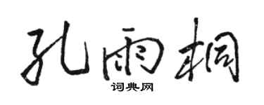 骆恒光孔雨桐行书个性签名怎么写