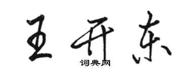骆恒光王开东行书个性签名怎么写