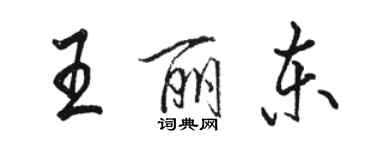 骆恒光王丽东行书个性签名怎么写