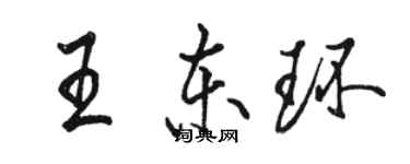 骆恒光王东环行书个性签名怎么写