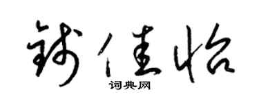 梁锦英钱佳怡草书个性签名怎么写