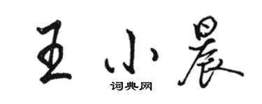 骆恒光王小晨行书个性签名怎么写