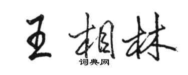 骆恒光王相林行书个性签名怎么写