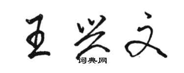 骆恒光王兴文行书个性签名怎么写