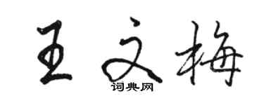 骆恒光王文梅行书个性签名怎么写