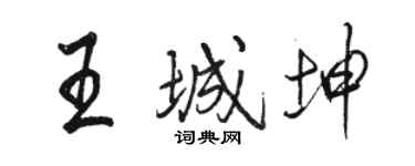 骆恒光王城坤行书个性签名怎么写