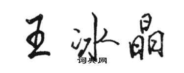 骆恒光王冰晶行书个性签名怎么写
