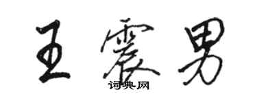 骆恒光王震男行书个性签名怎么写
