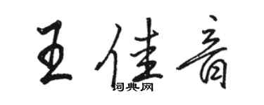 骆恒光王佳音行书个性签名怎么写