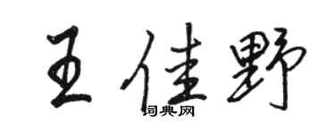 骆恒光王佳野行书个性签名怎么写