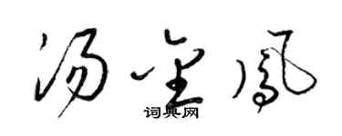 梁锦英汤金凤草书个性签名怎么写