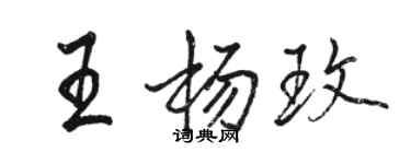 骆恒光王杨玫行书个性签名怎么写