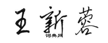 骆恒光王新蓉行书个性签名怎么写