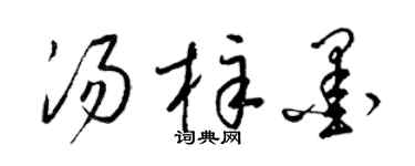 梁锦英汤梓墨草书个性签名怎么写