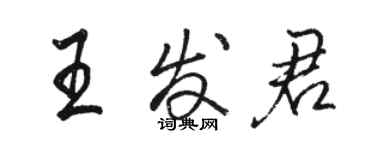 骆恒光王发君行书个性签名怎么写