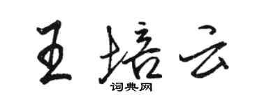 骆恒光王培云行书个性签名怎么写