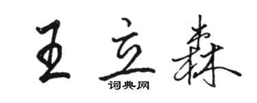 骆恒光王立森行书个性签名怎么写