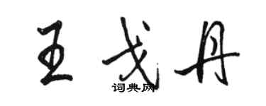 骆恒光王戈丹行书个性签名怎么写