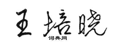 骆恒光王培晓行书个性签名怎么写