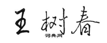 骆恒光王树春行书个性签名怎么写