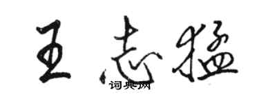 骆恒光王志猛行书个性签名怎么写
