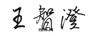 骆恒光王智澄行书个性签名怎么写