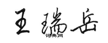 骆恒光王瑞岳行书个性签名怎么写