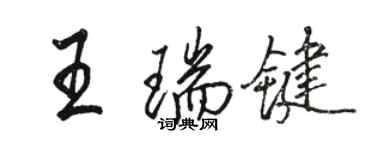 骆恒光王瑞键行书个性签名怎么写