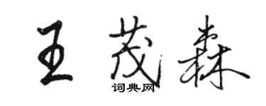 骆恒光王茂森行书个性签名怎么写