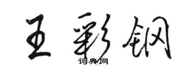 骆恒光王彩钢行书个性签名怎么写