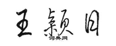 骆恒光王颖日行书个性签名怎么写