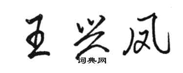 骆恒光王兴凤行书个性签名怎么写